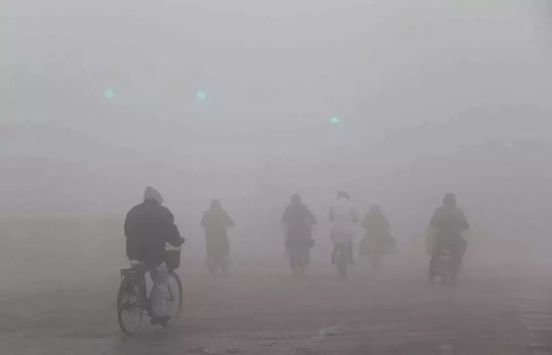 空氣污染如何殺死植物和動物？