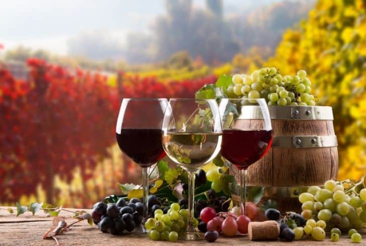 酒杯是怎么回收的？