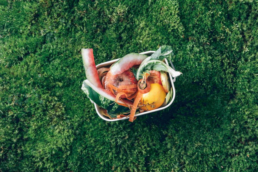 對食物浪費說不